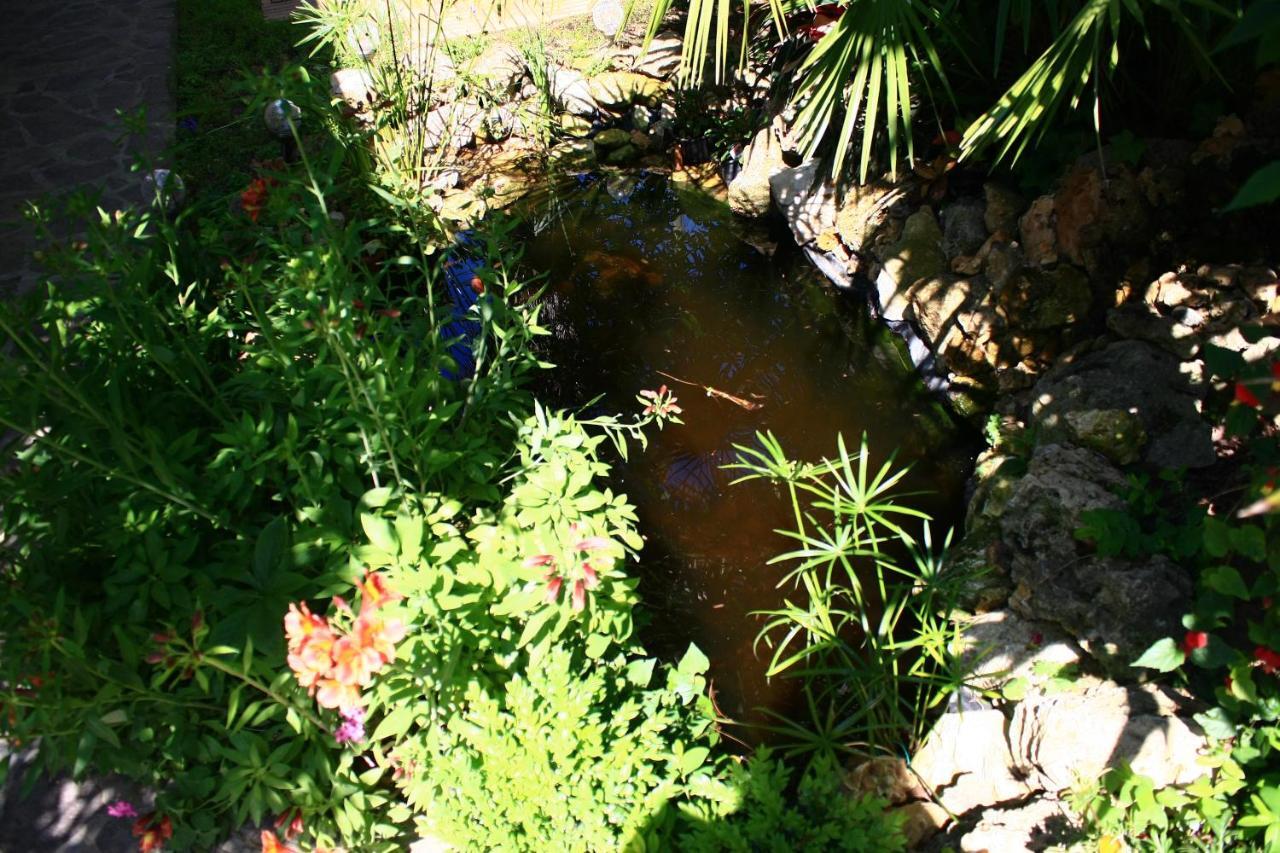 Garden Fuorirotta Bed & Breakfast San Giovanni Teatino Bagian luar foto